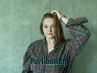 Portiaalltop