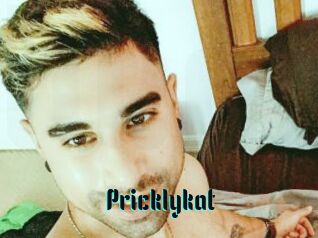 Pricklykat