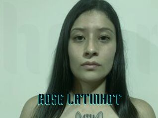 ROSE_LATINHOT
