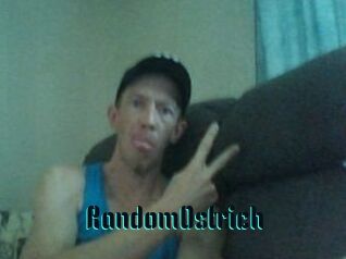 RandomOstrich