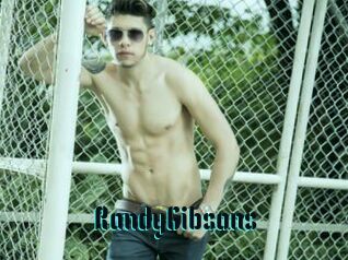 RandyGibsons
