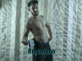 ReySallvo