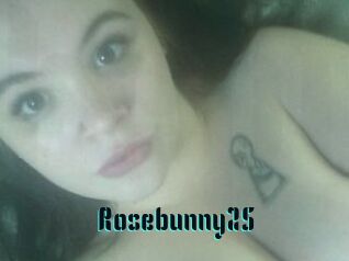 Rosebunny25
