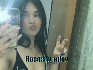 Roses_in_eden