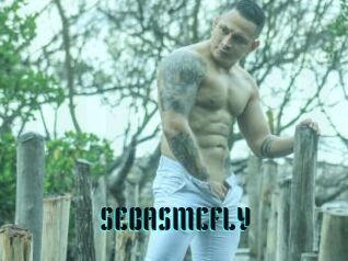 SEBASMCFLY