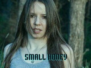 SMALL_HONEY