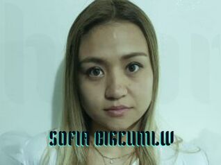 SOFIA_BIGCUMLW