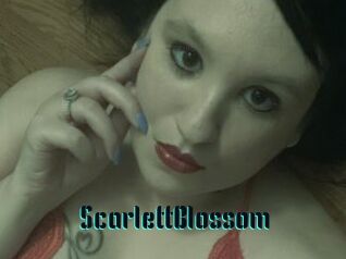 ScarlettBlossom