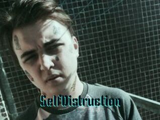 SelfDistruction