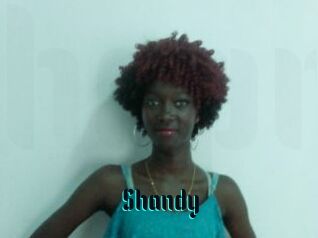 Shandy