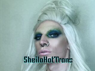 SheilaHotTrans
