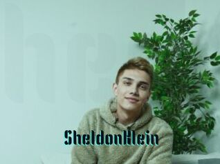 SheldonKlein