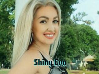 Shiny_Eva