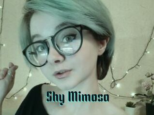 Shy_Mimosa