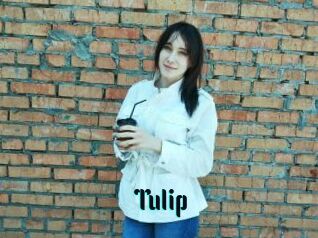 Tulip