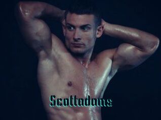 Scottadams