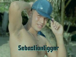 Sebastiantigger