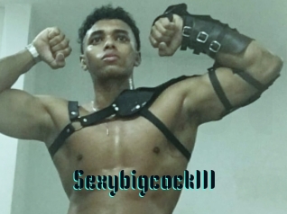 sexybigcock111 Hentai Pride