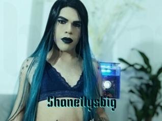 Shaneilysbig