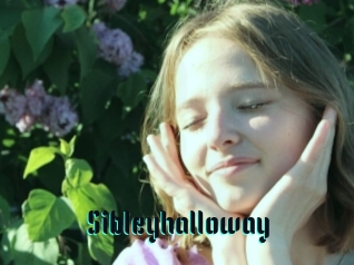 Sibleyhalloway