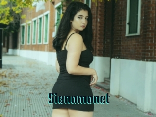 Sienamonet