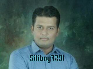 Siliboy7291