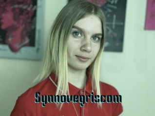Synnovegriscom