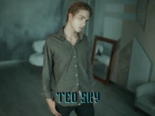TEO_SKY