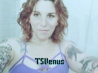 TS_Venus