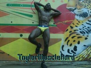 TaylorMusclehard