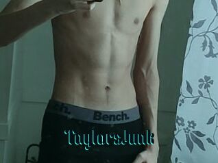 TaylorsJunk