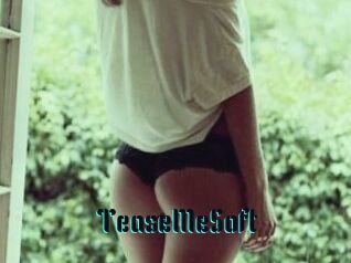 TeaseMeSoft