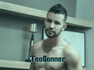 TeoBanner