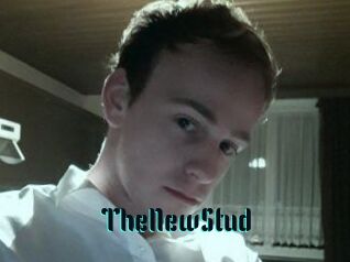 TheNewStud