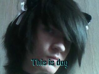 This_is_dog
