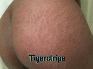 Tigerstripe