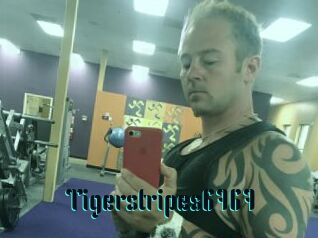 Tigerstripes6767