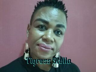 Tigress_Stella