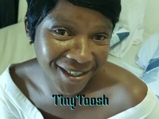 TinyToosh