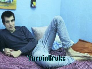 TorvinBruks