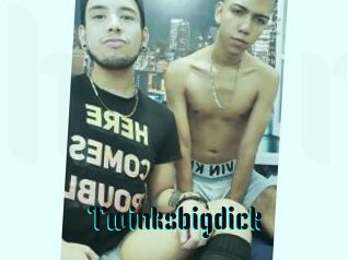Twinksbigdick