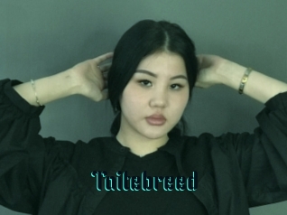 Taitebreed
