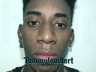 Tammylambert