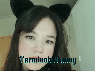 Terminatorbunny