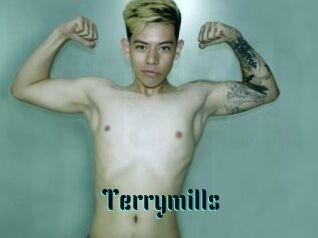 Terrymills