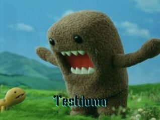 Testdomo