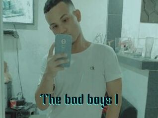 The_bad_boys_1