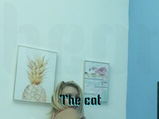 The_cat