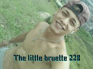 The_little_bruette_228