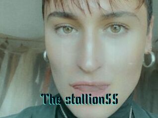 The_stallion55